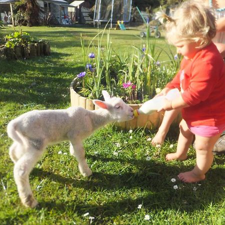 Little Paradise & Petting Farm Greymouth Exterior photo