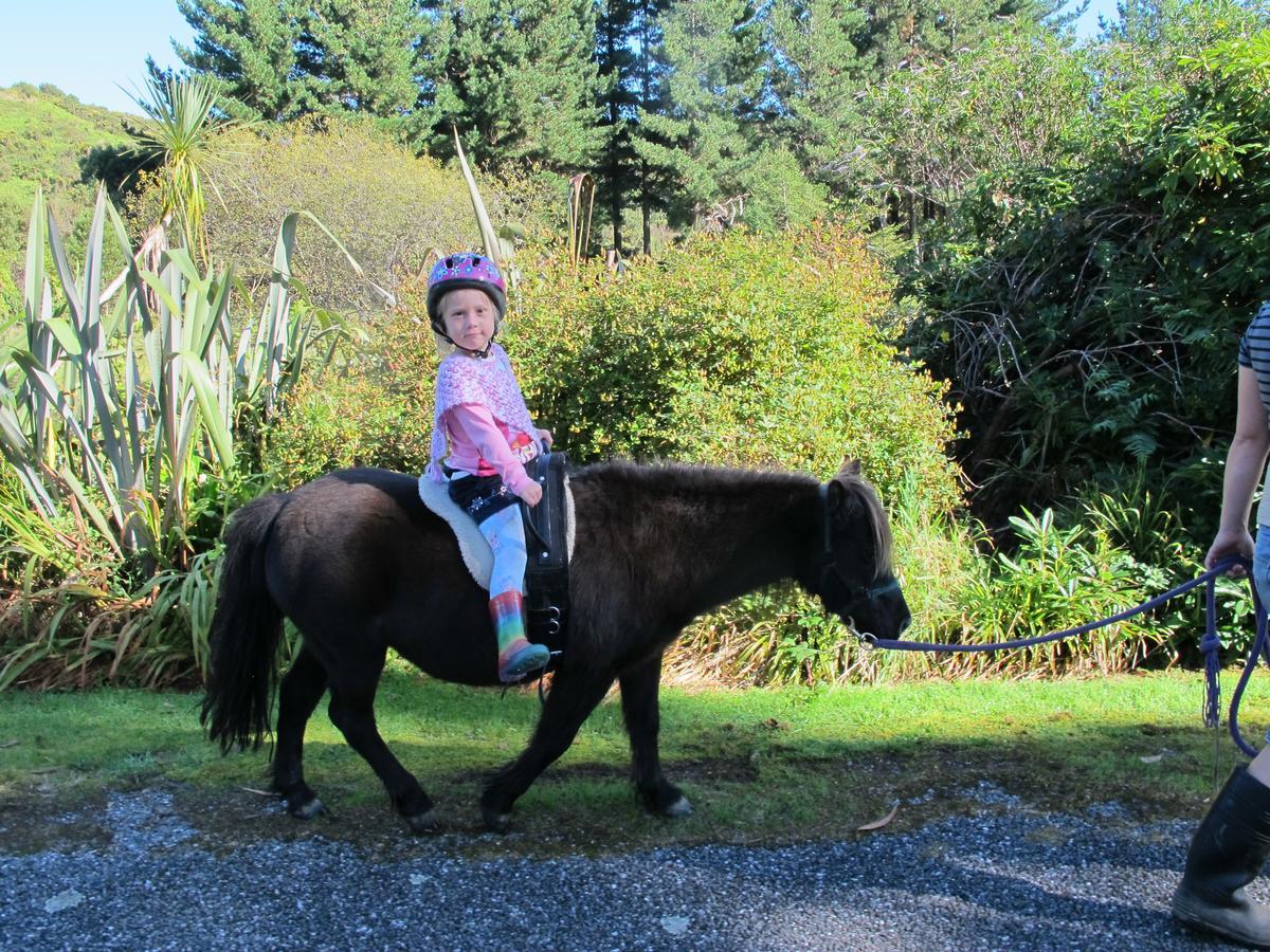 Little Paradise & Petting Farm Greymouth Exterior photo