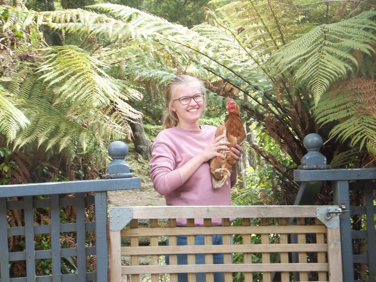 Little Paradise & Petting Farm Greymouth Exterior photo