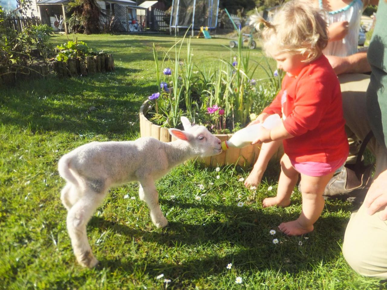 Little Paradise & Petting Farm Greymouth Exterior photo