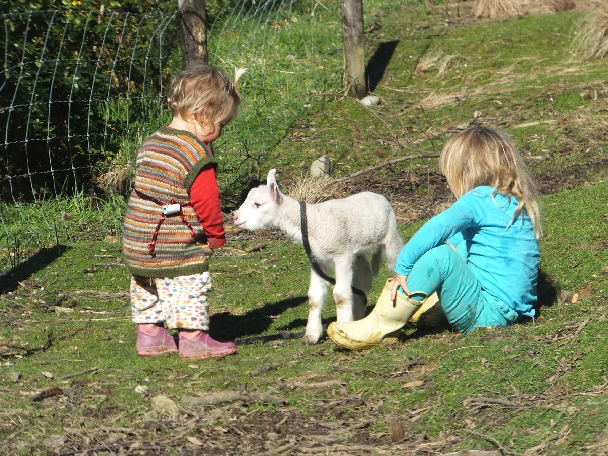 Little Paradise & Petting Farm Greymouth Exterior photo